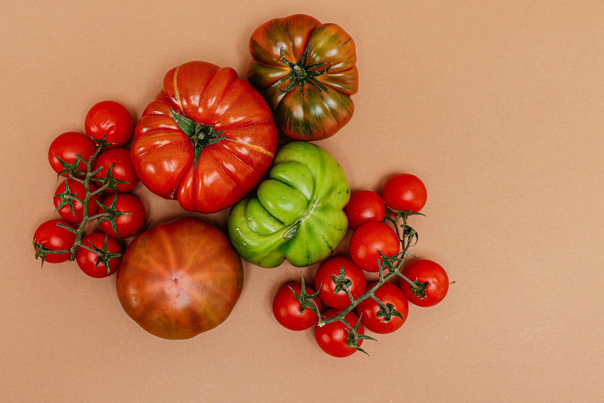 It's Tomato Week! Let's Celebrate! - Lakeview Nurseries