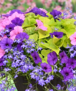 Make A Masterpiece DIY