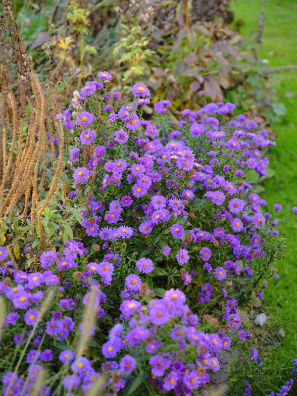 Lakeview Nurseries
