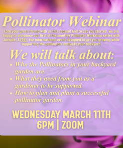 FREE Pollinator Webinar: Session One