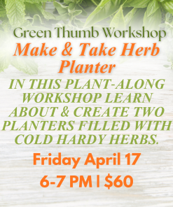 Make & Take Workshop: Cold Hardy Herb Planters